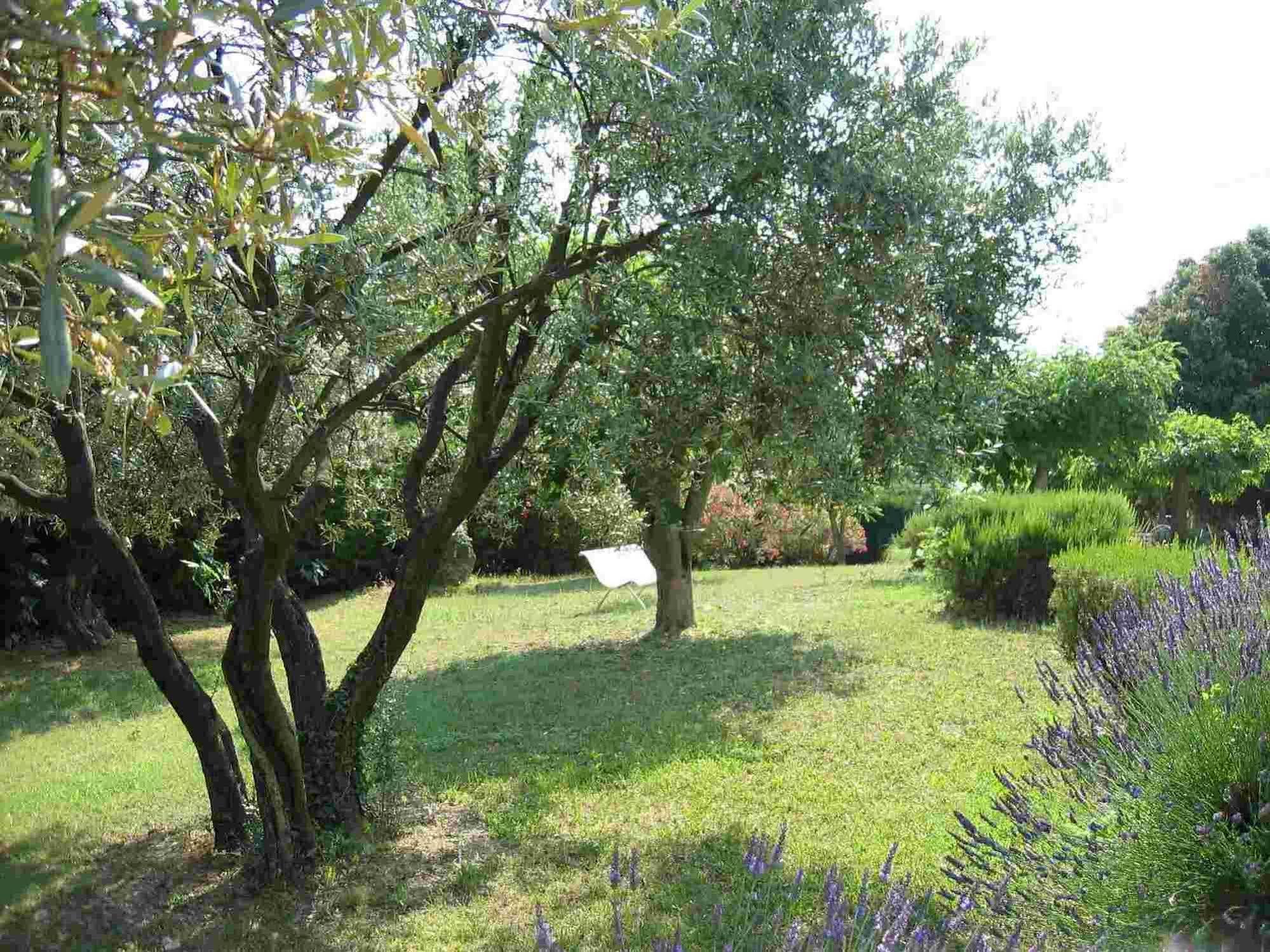 לינה וארוחת בוקר Flayosc La Vieille Bastide מראה חיצוני תמונה
